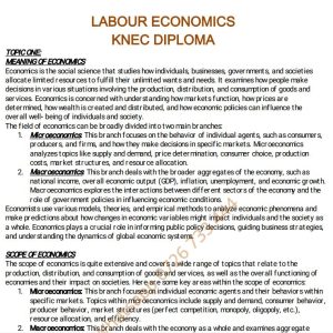 Labour Economics notes KNEC Diploma