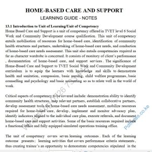Home-Based Care and Support Level 6