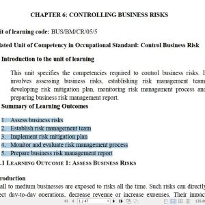 Controlling Business Risks Pdf notes