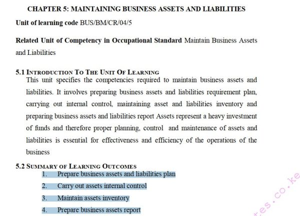 Maintaining Business Assets and Liabilities Pdf notes