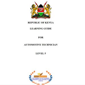 Automotive Technician Level 5